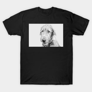 Wolfhound puppy T-Shirt